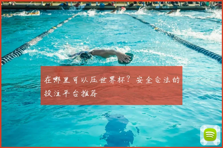 在哪里可以压世界杯?安全合法的投注平台推荐