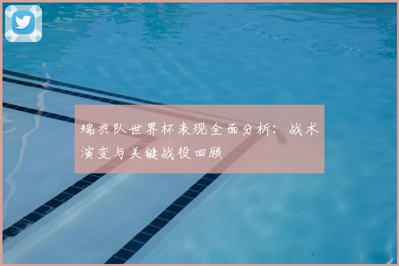 瑞典队世界杯表现全面分析：战术演变与关键战役回顾