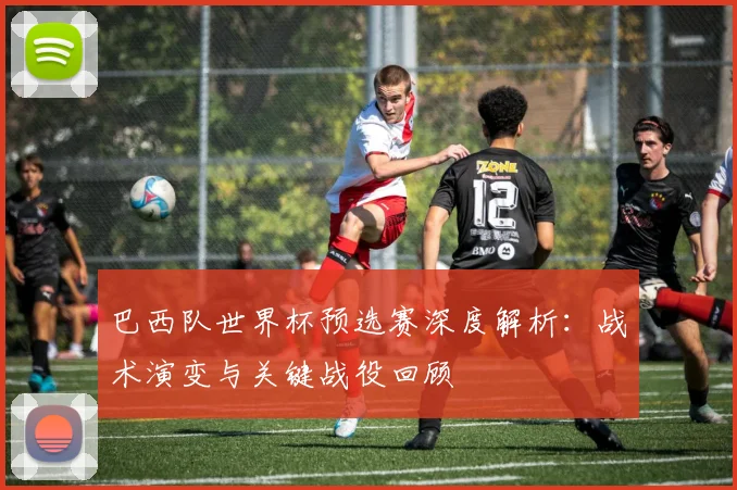 巴西队世界杯预选赛深度解析:战术演变与关键战役回顾