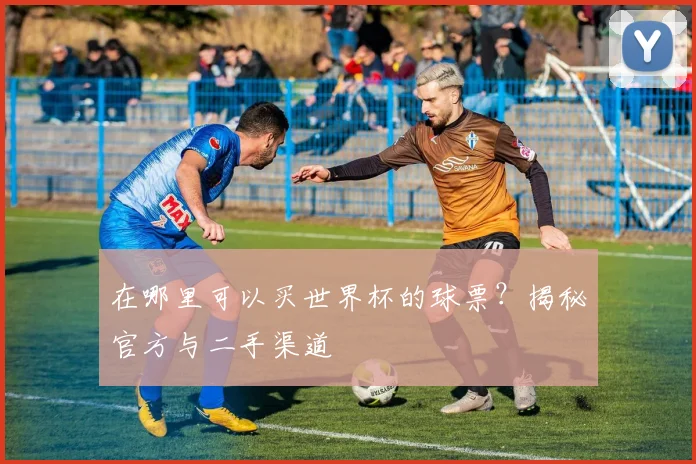 在哪里可以买世界杯的球票？揭秘官方与二手渠道