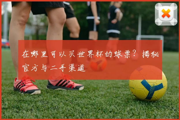 在哪里可以买世界杯的球票？揭秘官方与二手渠道